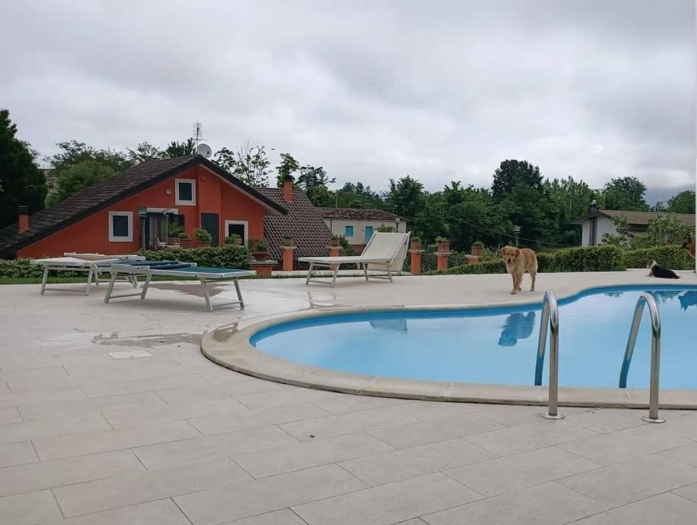 Villa Annamaria Cassino Extérieur photo