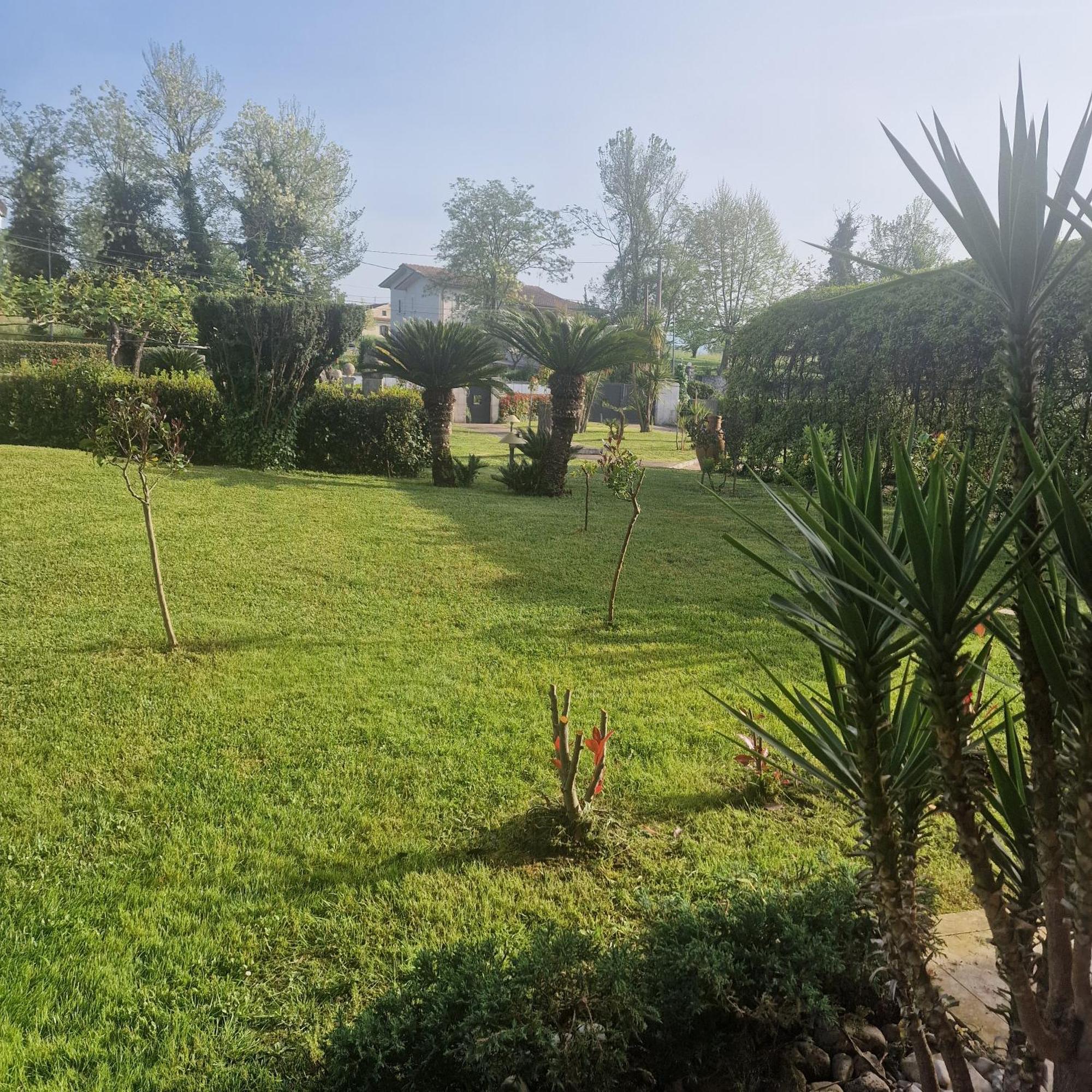 Villa Annamaria Cassino Extérieur photo